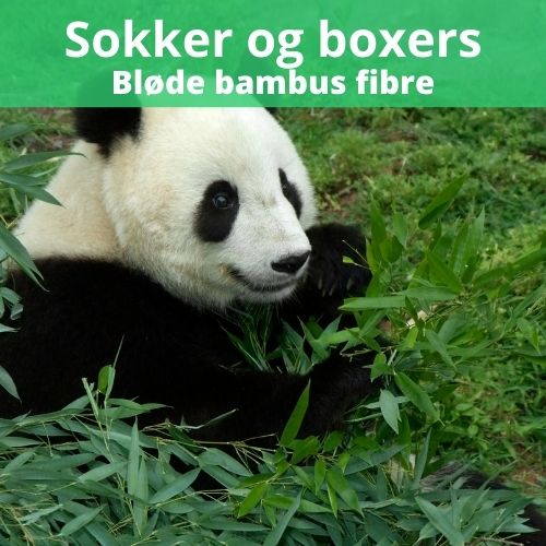Bambus Sokker og Boxers