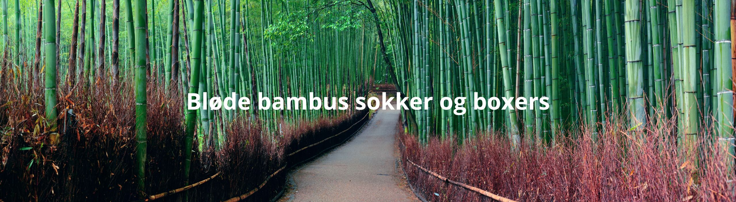 Bambus sokker