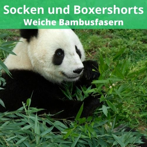 BambusSocken